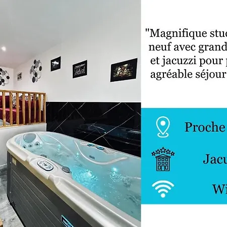 La Détente Marocaine Jacuzzi Et Terrasse Appartement Reims