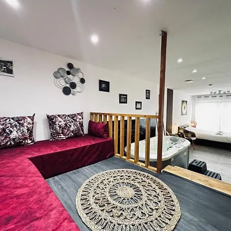 La Détente Marocaine Jacuzzi Et Terrasse Appartement Reims